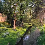 Alte Brennerei Schloss Zehista Eg Rittersporn * Pirna