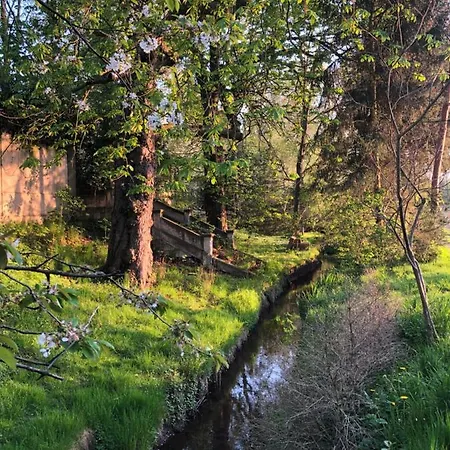 Alte Brennerei Schloss Zehista Eg Rittersporn * Pirna