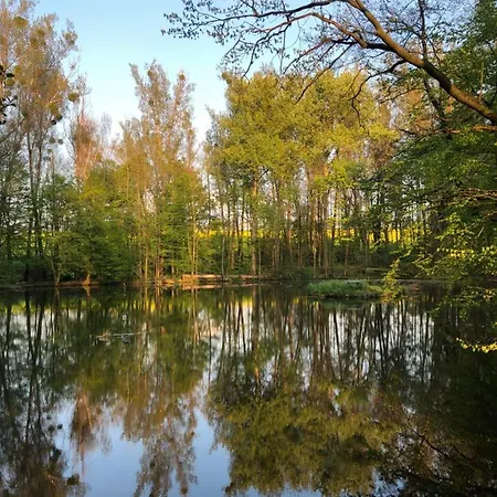 Alte Brennerei Schloss Zehista Eg Rittersporn Pirna