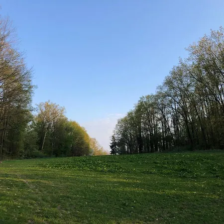 Alte Brennerei Schloss Zehista Eg Rittersporn Pirna