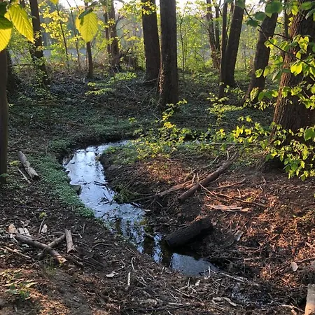Apartmán Alte Brennerei Schloss Zehista Eg Rittersporn Pirna