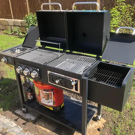 Alte Brennerei Schloss Zehista Eg Rittersporn Pirna