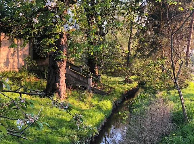 Alte Brennerei Schloss Zehista Eg Rittersporn * Πίρνα