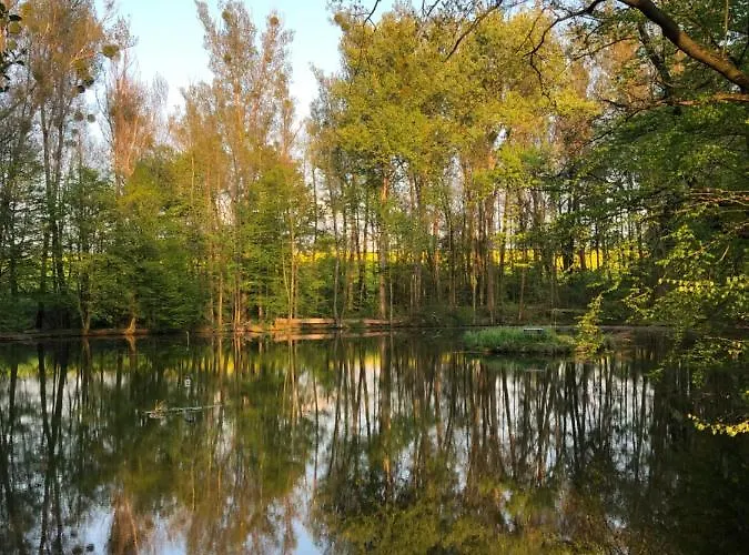 Alte Brennerei Schloss Zehista Eg Rittersporn Pirna