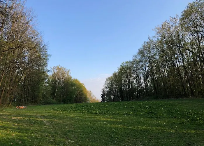 Alte Brennerei Schloss Zehista Eg Rittersporn Pirna