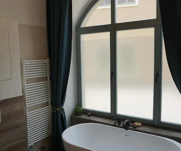 Alte Brennerei Schloss Zehista Eg Rittersporn *