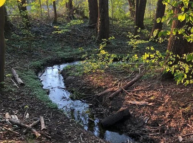 Appartement Alte Brennerei Schloss Zehista Eg Rittersporn Pirna