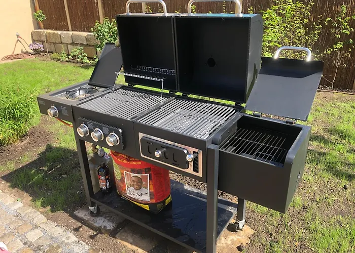 Alte Brennerei Schloss Zehista Eg Rittersporn Πίρνα